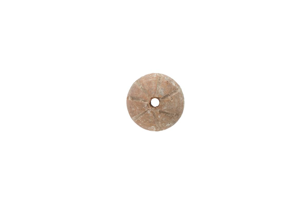 IV Ca 3161 (2)