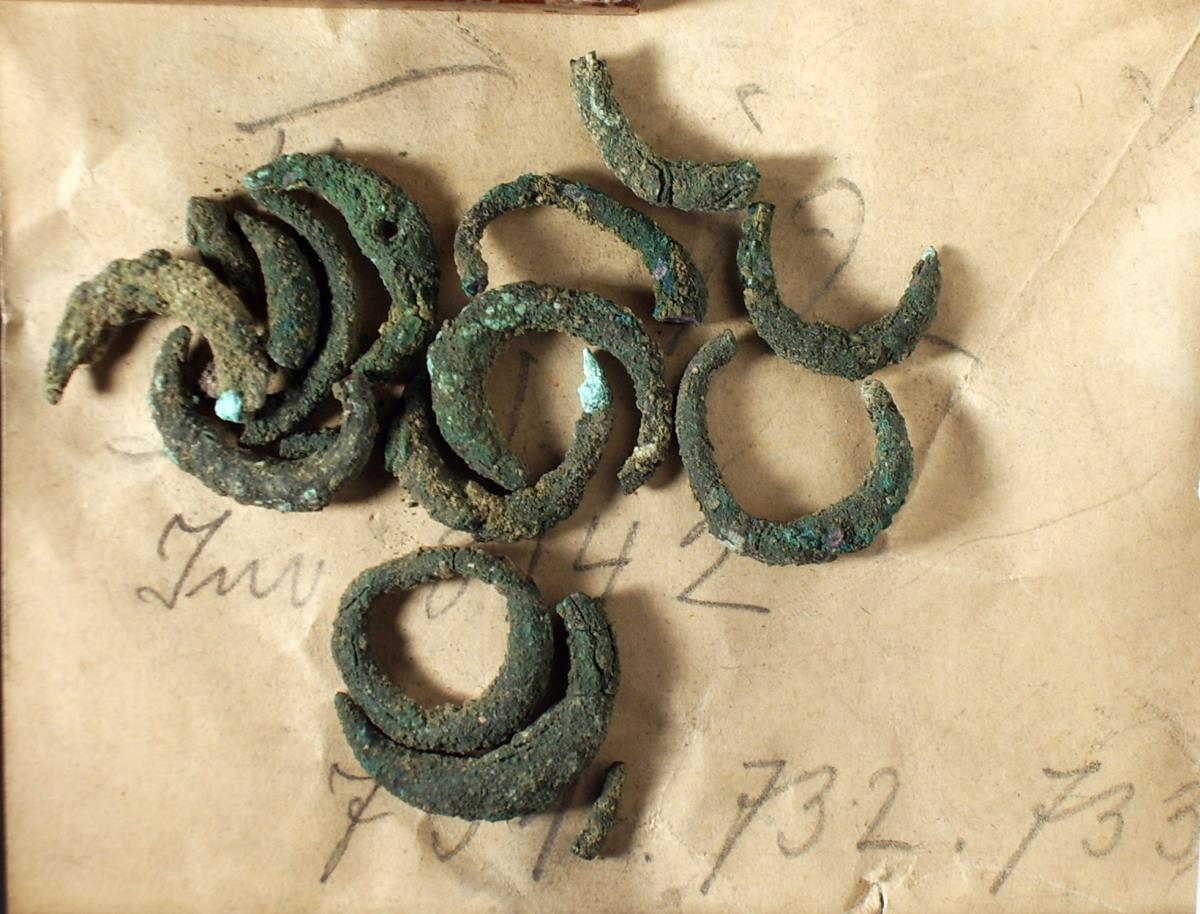 ca. zwölf Ringe (Ohrringe)