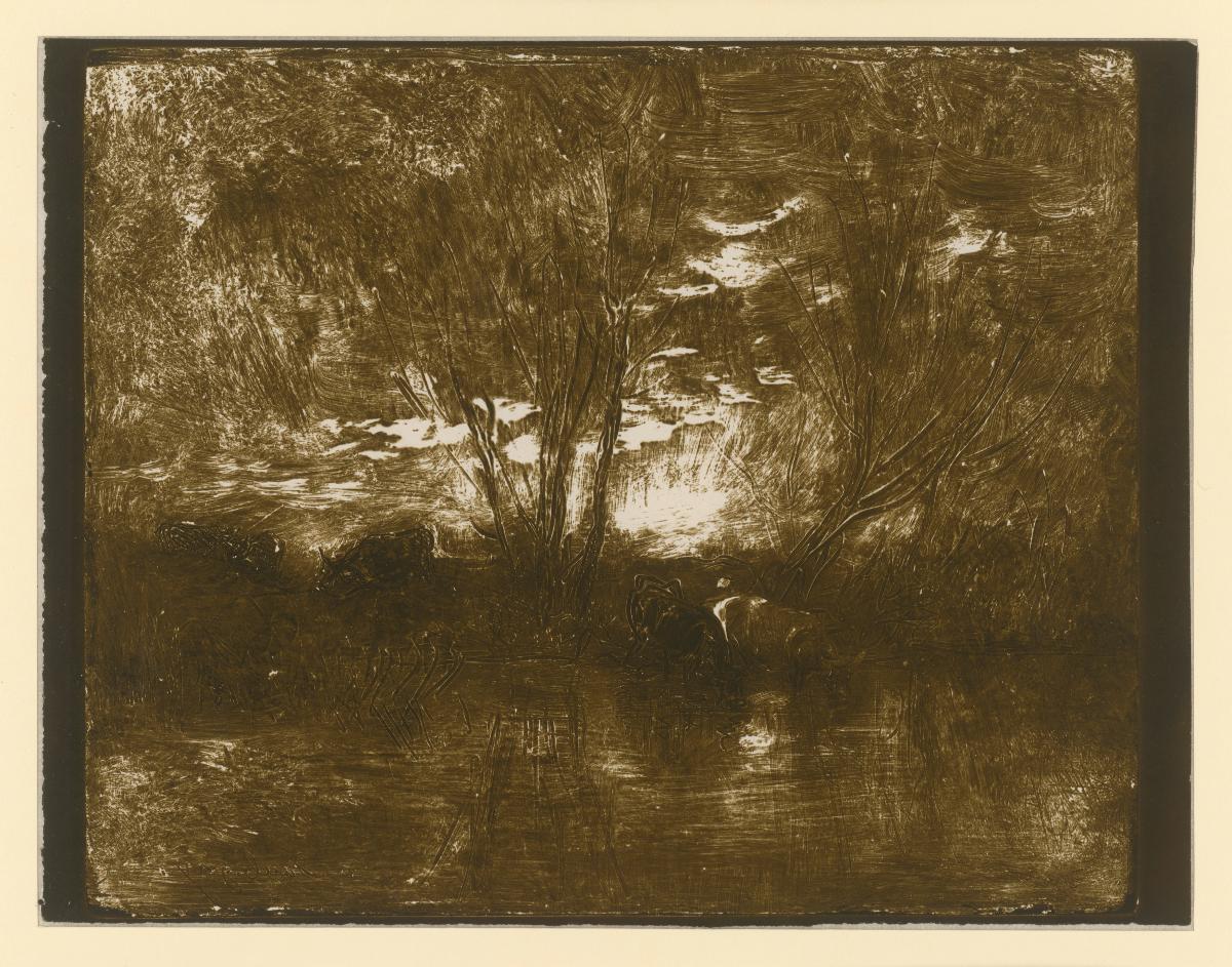 Kühe an der Wasserstelle