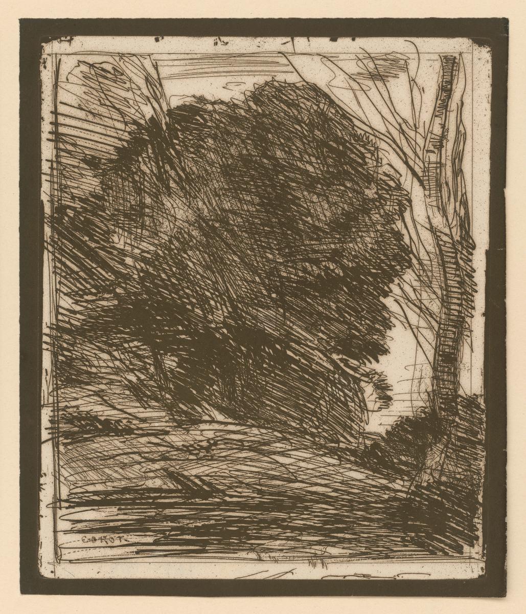 Les arbres dans la montagne