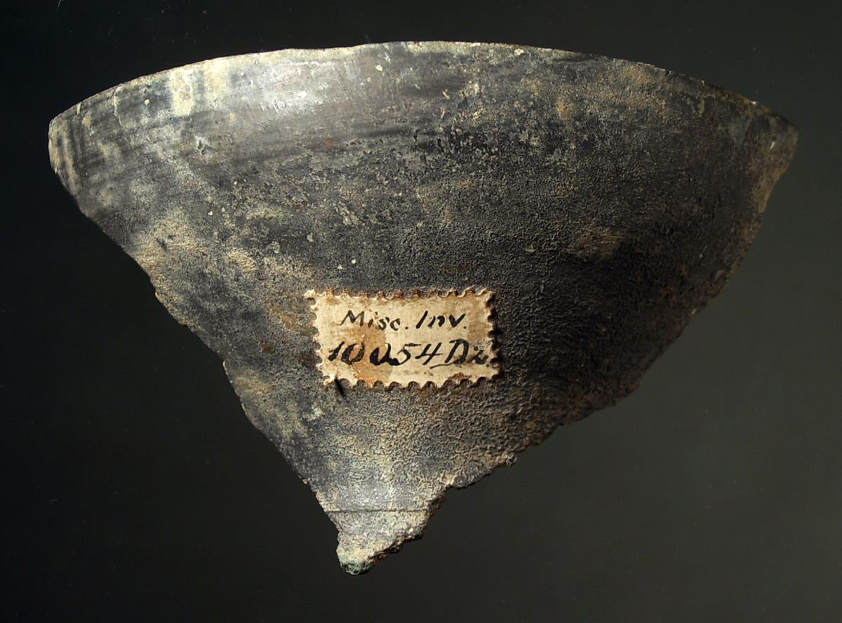 Teil eines Klinenbeins (viertes Element von unten), Fragment