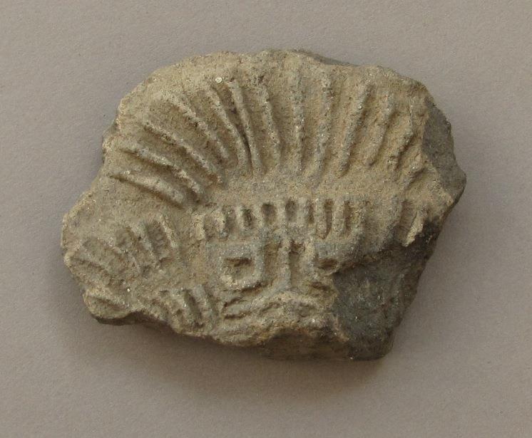 IV Ca 3548 (16)
