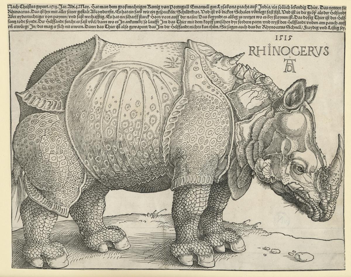Das Rhinozeros