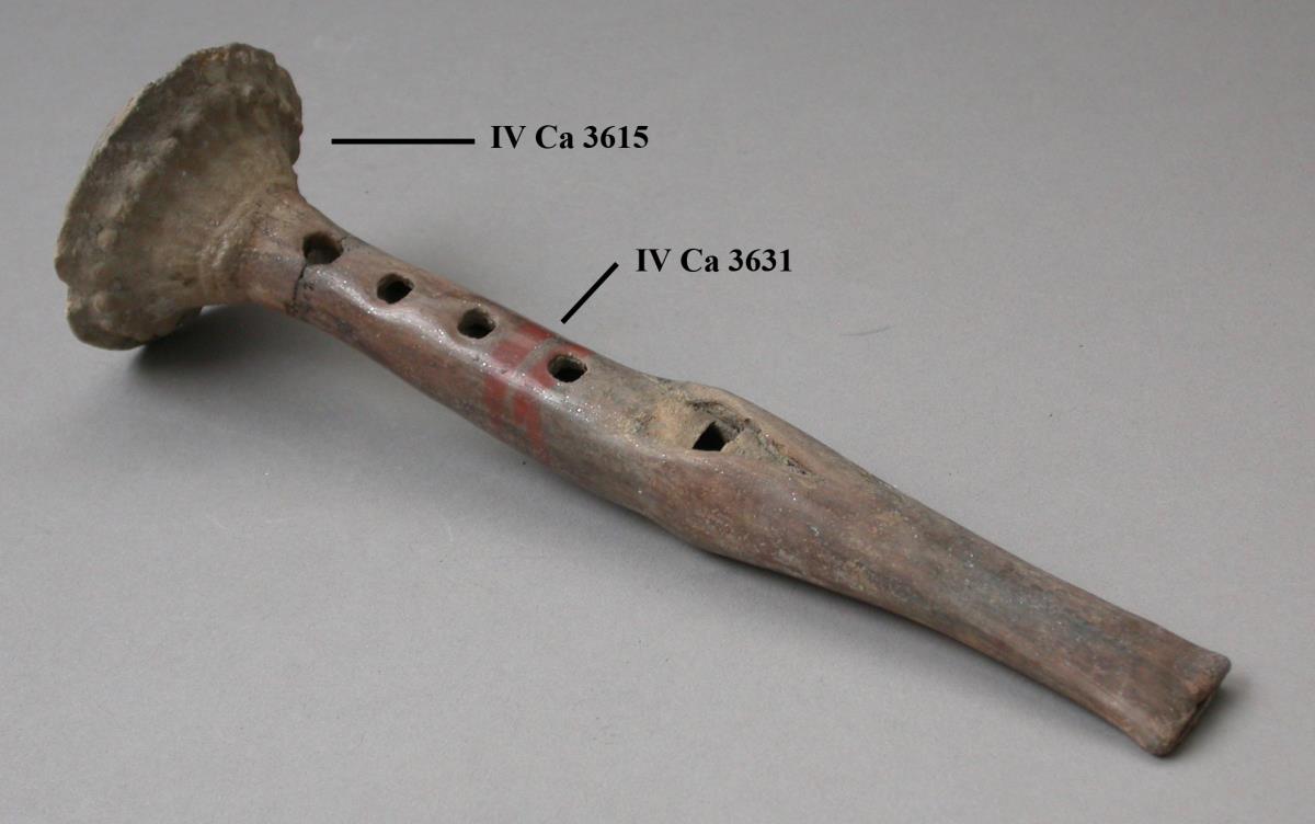 IV Ca 3631