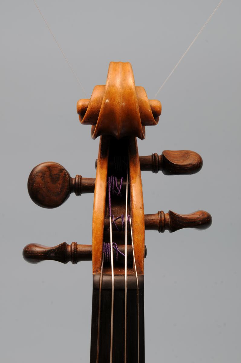 Violine