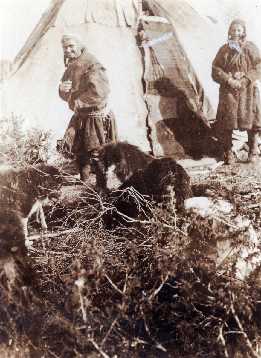Zwei Samen am Raaskaltiajärvi