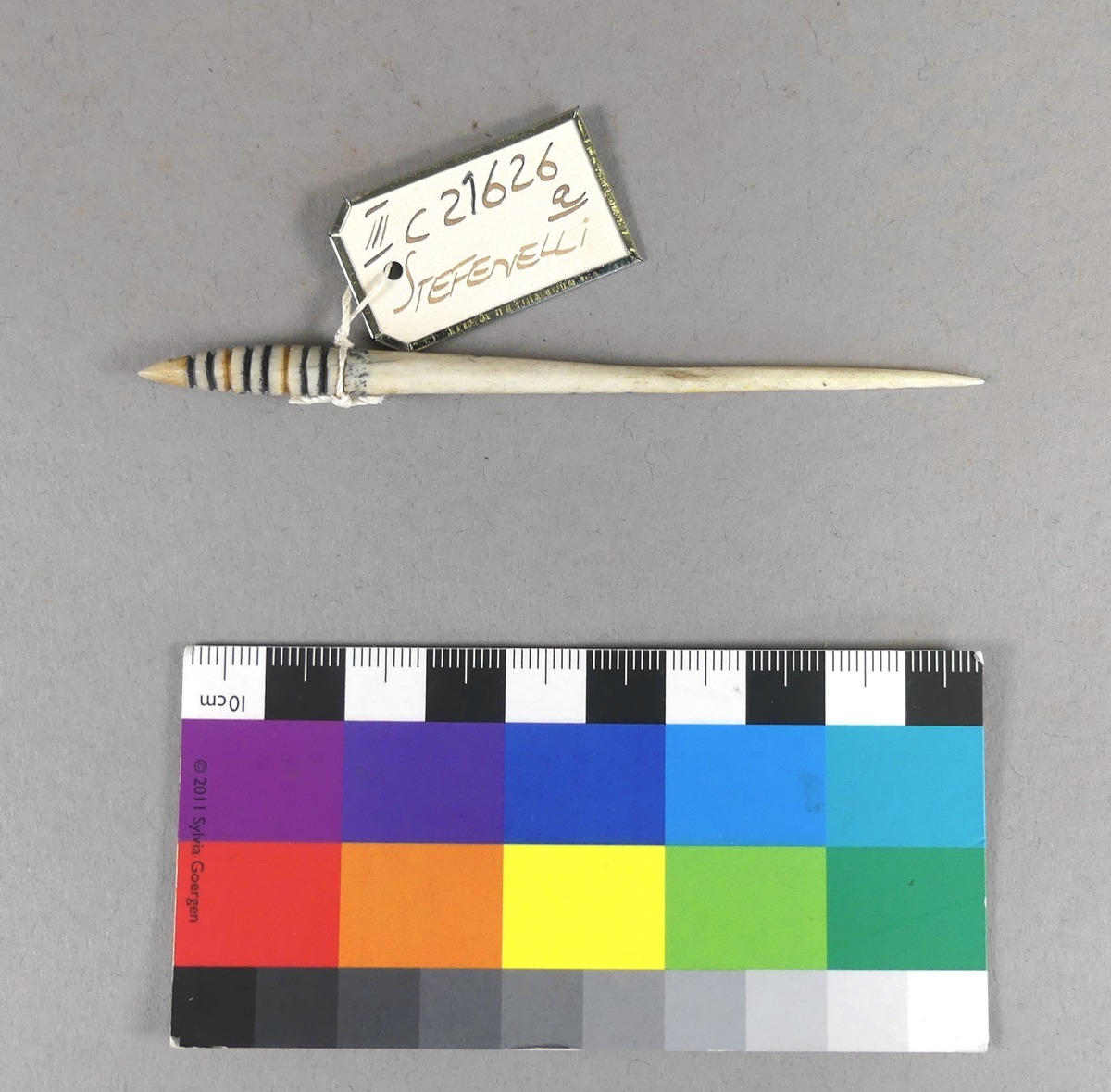 III C 21626 a