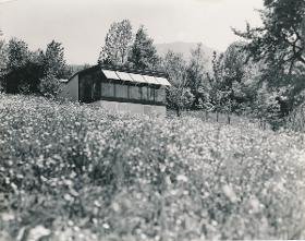 Salzburg, Haus Lenk