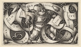 Der kleine Narr