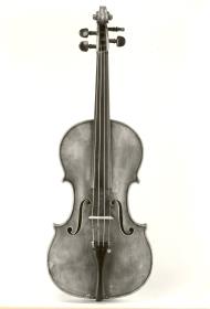 Violine