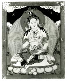 Bodhisattva