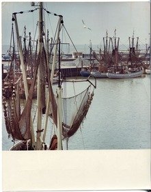 Doornkaat, Stadt Norden: Fischkutter im Fischereihafen von Norddeich