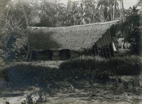 "Haus auf Pelau"