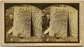 Steinrelief, das einen Adler darstellt, der ein (vermutl. menschliches) Herz in seiner Kralle hält.