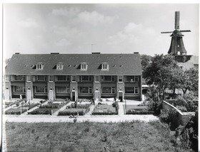 Doornkaat, Stadt Norden: Neu erbaute Reihenhäuser mit Gärten, im Hintergrund eine Windmühle