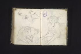 Hundestudien
