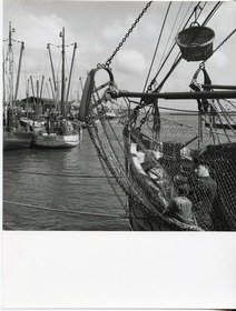 Doornkaat, Stadt Norden: Fischkutter im Fischereihafen von Norddeich