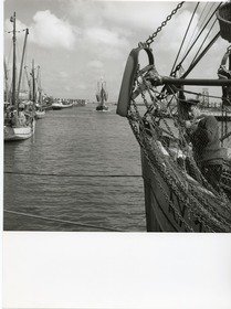 Doornkaat, Stadt Norden: Fischkutter im Fischereihafen von Norddeich