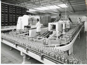 Doornkaat, Blick in eine Produktionshalle für Erfrischungsgetränke (Afri-Cola, Bluna, Kaati)
