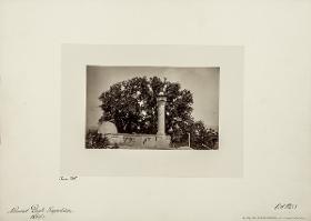 Bey-Dschami in Aintab