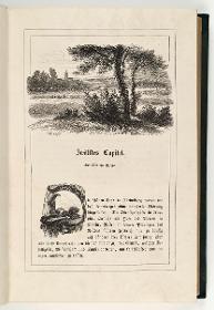 Fruchtbare Landschaft mit Schnittern und Schafherde sowie Initiale "D". zu Kugler "Geschichte Friedrich des Großen", S.131
