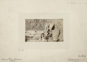 Nemruddagh. - Adler und Löwe von der Nordseite der Westterrasse