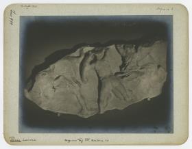 Magnesia am Mäander, Artemision, Nordfries (Aufstellung in Paris, Musée du Louvre)