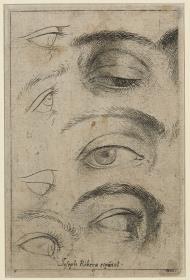 Studien für Augen (linke Hälfte) (druckgraphisches Studienblatt zum Erlernen der Zeichenkunst)