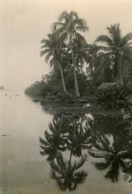 "Landschaft aus der Umgebung von Papeete, Tahiti"