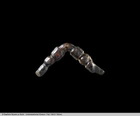 Fibelfragment