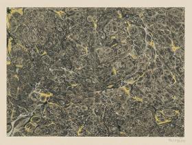 Ringadermarmorpapier