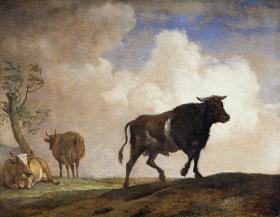 Der Stier
