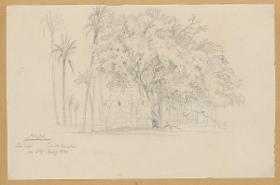 Ägypten-Expedition, Memphis, Dorf Schimbab