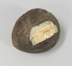 tahonga