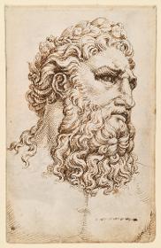 Kopf des vatikanischen "Arno"