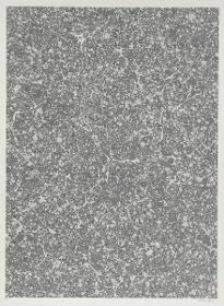 Granitmarmorpapier (nach alten Mustern, Paris)