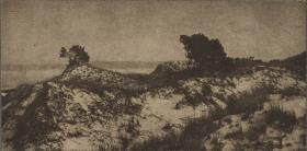 Dünenlandschaft