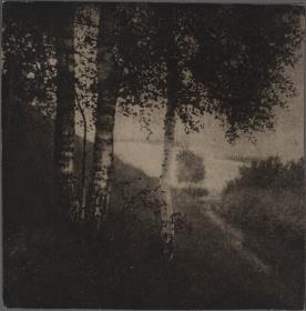Landschaft mit Birken