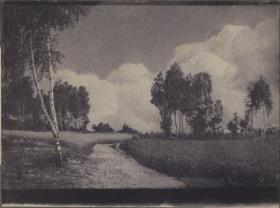 Heide bei der Buschmühle bei Oberau, Meißen