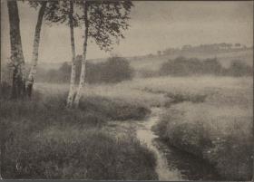 Flußlandschaft mit Birken