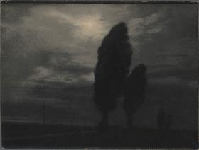 Baumsilhouetten vor Horizont