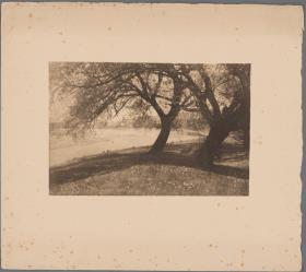 Landschaft