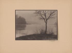 Nebel