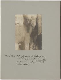Petroglyphen