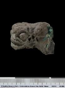 Fragment eines Pazuzu-Kopfes