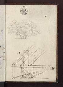 Baumstudie & Perspektivische Zeichnung