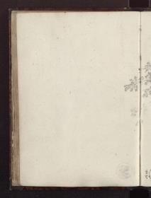 Baumstudie