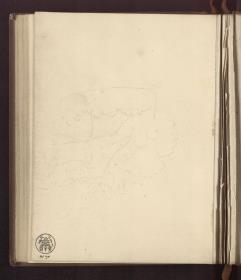 Baumstudie