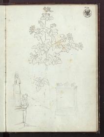 Pflanzenstudie & Ein Zeichner neben einer Statue & Ein antiker Altar