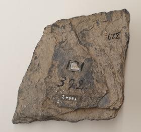 Gewandzipfel eines sitzenden Buddha (Fragment). Sockelrelief: Verehrung des sitzenden zukünftigen Buddha Maitreya